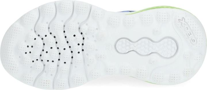 Actual product image Geox Sneaker (37)
