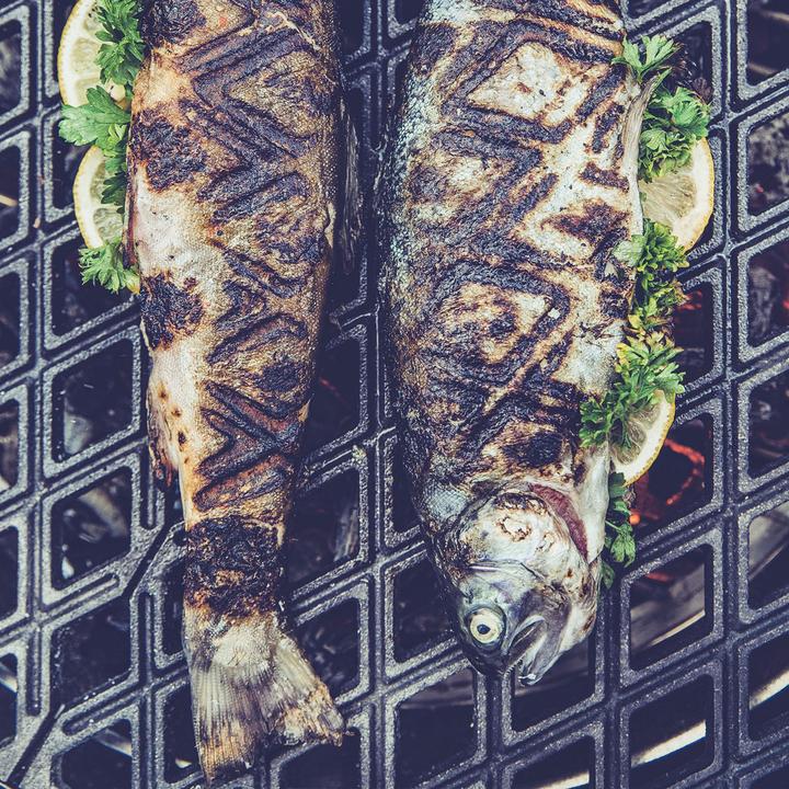 Image du produit Höfats Grille en fonte avec bac de récupération Cône