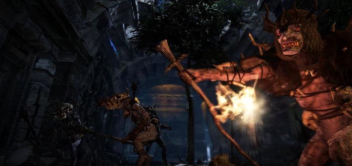 Image du produit Capcom Dragon's Dogma : Dark Arisen -US- (Switch, Switch Lite, Switch OLED, EN)
