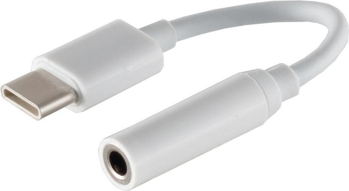 Actual product image Shiverpeaks USB C - 3.5mm jack (Headset adapter)