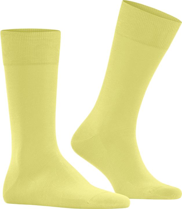Actual product image Falke Cool 24/7 Men (41 - 42)