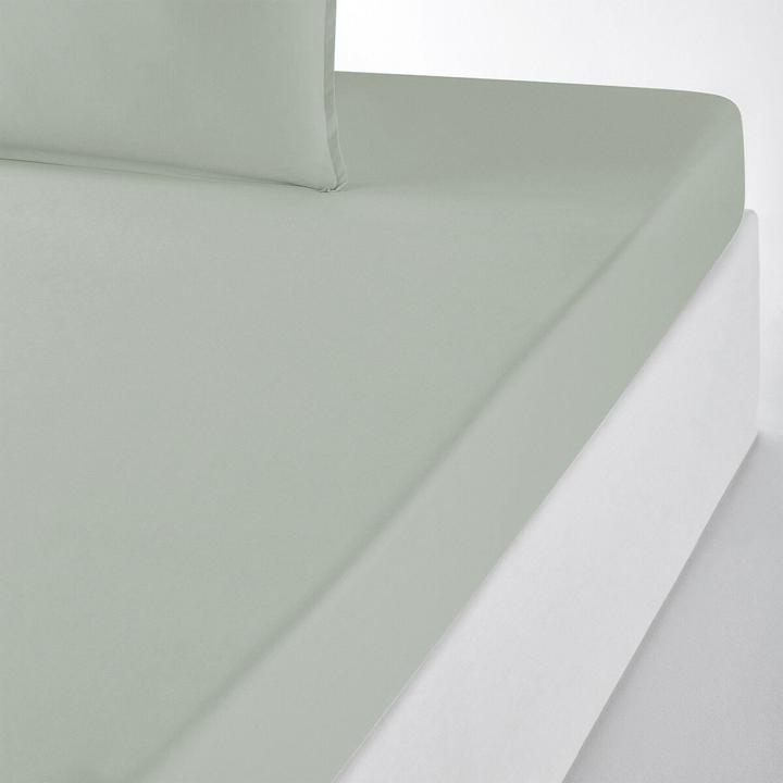Immagine prodotto La Redoute Interieurs Percale Bio (160 x 200 cm)
