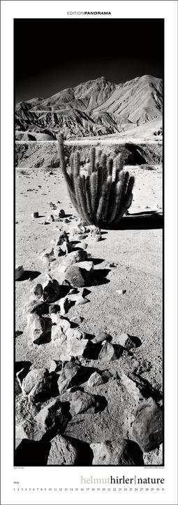 Image du produit Nature (Allemand, Anglais)