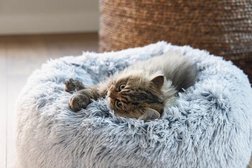 Produktbild Beeztees Orthopaedisch Katzenbett Siba (Katze)