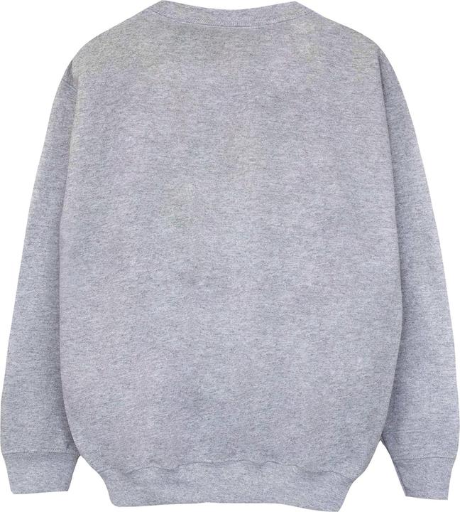 Image du produit Sweat-shirt de Noël à couronne pour garçons (140, 146)
