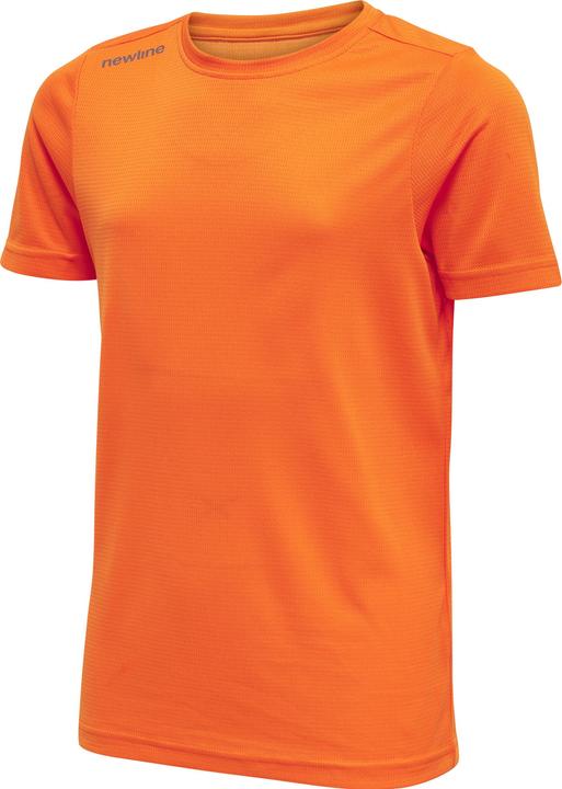 Tigre orange