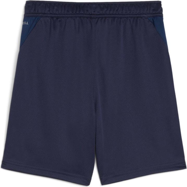 Image du produit Puma teamGOAL Training Short Jr (152)