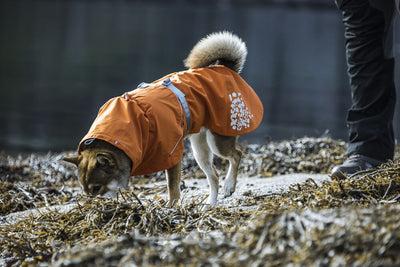 Immagine prodotto Hurtta Cappotto Monsoon mirtillo (65, Cappotto per cani)