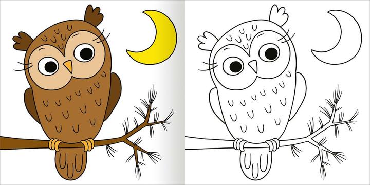 Actual product image My colourful autumn colouring book