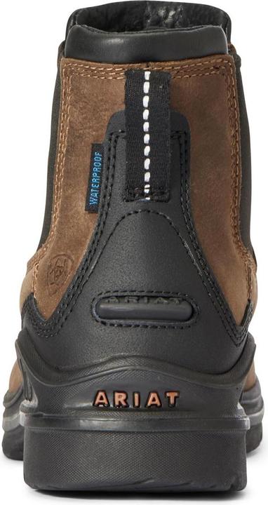 Actual product image Ariat Work shoe Barnyard Twin Gore II ladies (38.5)