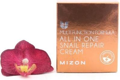 Actual product image Mizon all in one snail repair cream 75 g (24h cream)