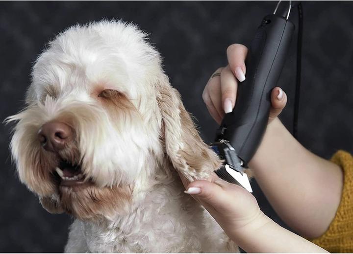 Image du produit Agrarzone Tondeuse pour chiens (Chat, Chien)