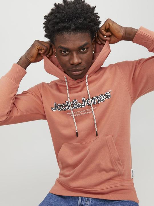 Image du produit Jack & Jones Sweat à capuche (L)
