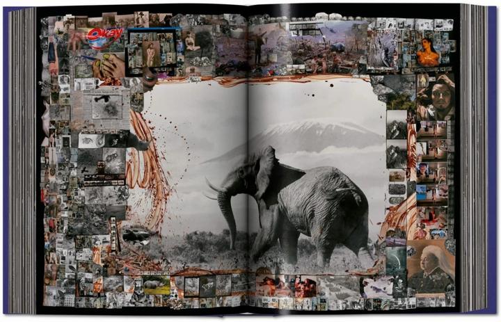 Image du produit Peter Beard (Allemand, Anglais, Français, David Fahey, Owen Edwards, Steven M. L. Aronson, Nejma Beard, 2020)