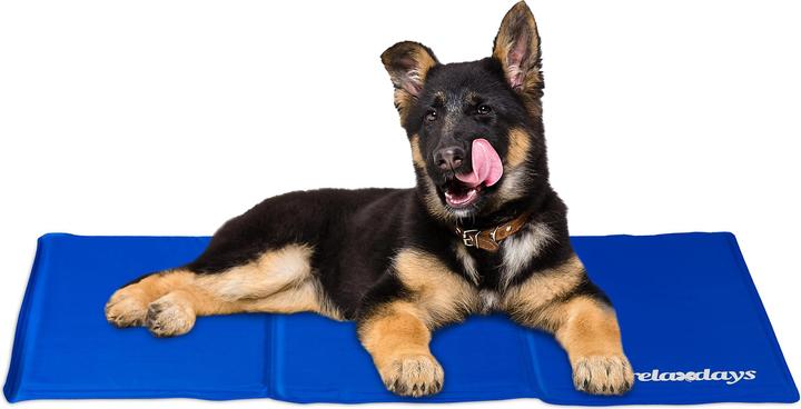 Actual product image Relaxdays Dog (Dog, Cat)