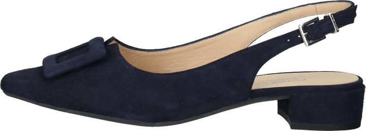 Produktbild Peter Kaiser Pumps (36)