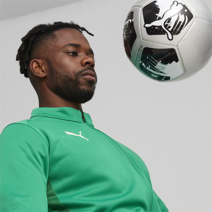 Immagine prodotto Puma Giacca da allenamento teamGOAL (S)