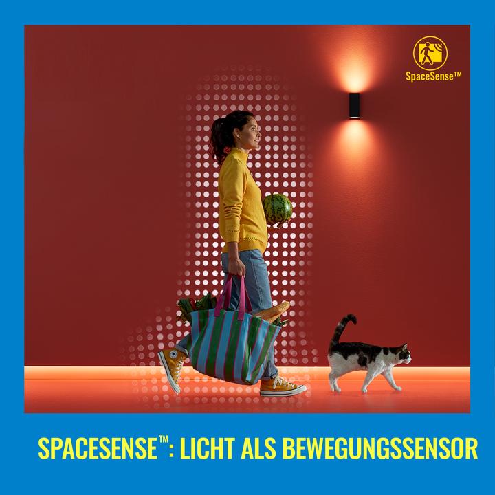 Actual product image WiZ Incandescent lamp (E27, 7 W, 806 lm, 2 x, E)