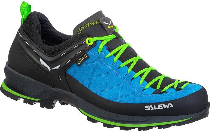 Salewa MTN Trainer 2 GTX Schuhe