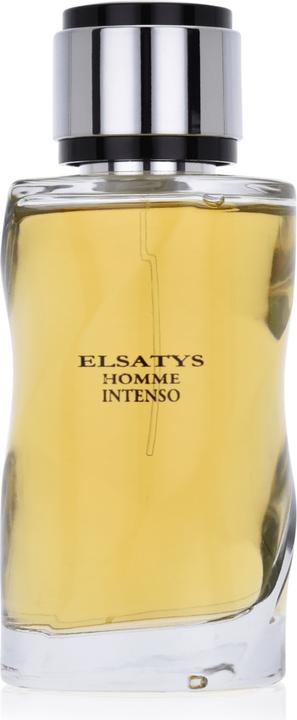 Reyane Tradition Elsatys Homme Intenso EDP 100ml (Eau de Parfum, 100 ml)