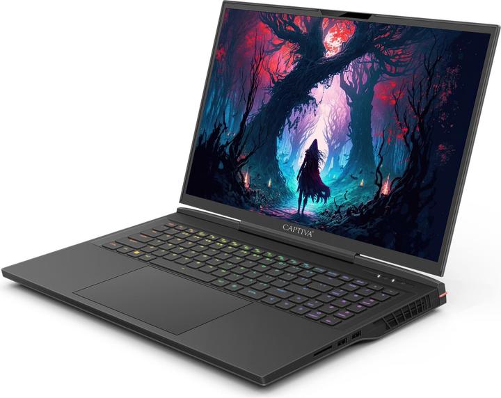 Actual product image Captiva Ultimate Gaming I81-609 Core i9 RTX 4090 (17.30", Intel Core i9-14900HX, 64 GB, 4000 GB, DE)