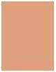Image du produit Bourjois Always Fabulous 24H (200 Rose Vanille)