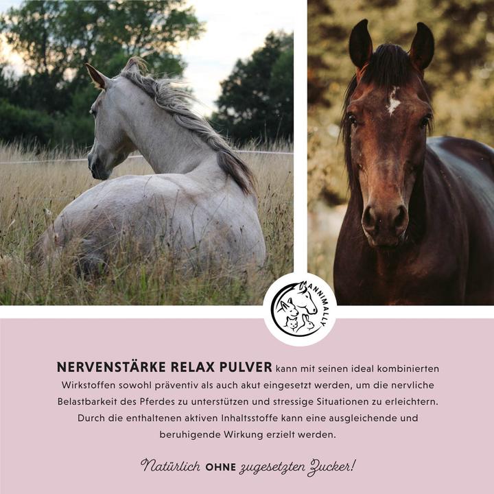 Immagine prodotto Annimally Forza nervosa Relax in polvere (1 x, 850 g)