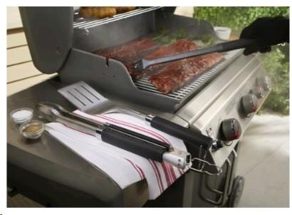 Immagine prodotto Weber Premium