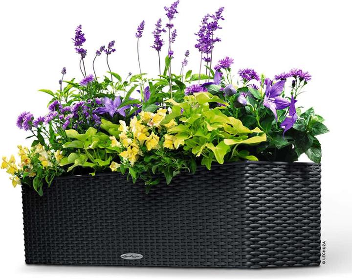 Image du produit Lechuza Chalet Balconera (19 cm)