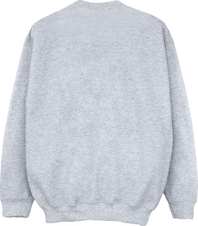 Produktbild Nasa Sweatshirt Mädchen (140, 146)