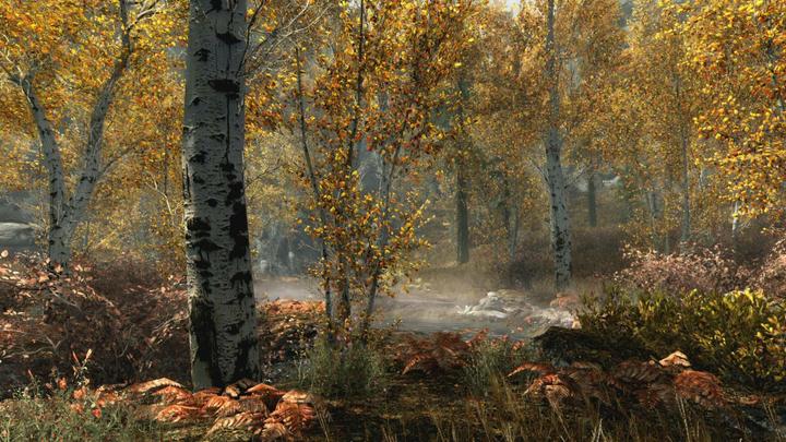 Image du produit Bethesda The Elder Scrolls V : Skyrim (Xbox One S)