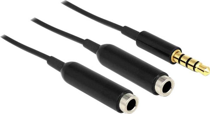Immagine prodotto Delock Cavo sdoppiatore audio jack 3,5 mm - 2x 3,5 mm femmina (0.25 m, 2,5 mm)