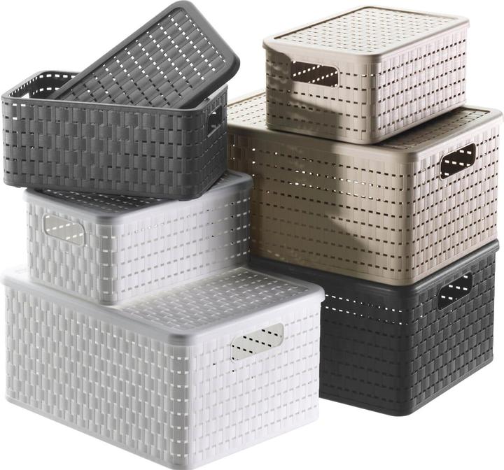 Immagine prodotto Rotho Paese (0 x, 28 x 18,5 x 12,6 cm)