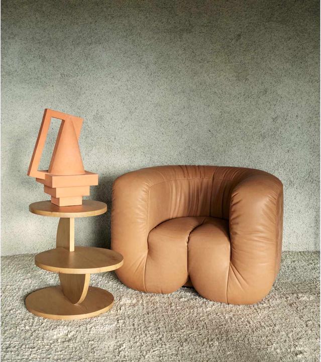 Image du produit De Sede Ds-707/01 Fauteuil