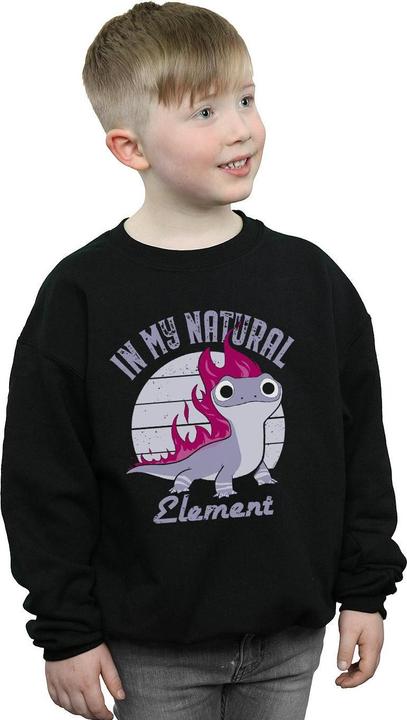 Produktbild Disney Frozen 2 Salamander Bruni Element Sweatshirt Jungen (140, 146)