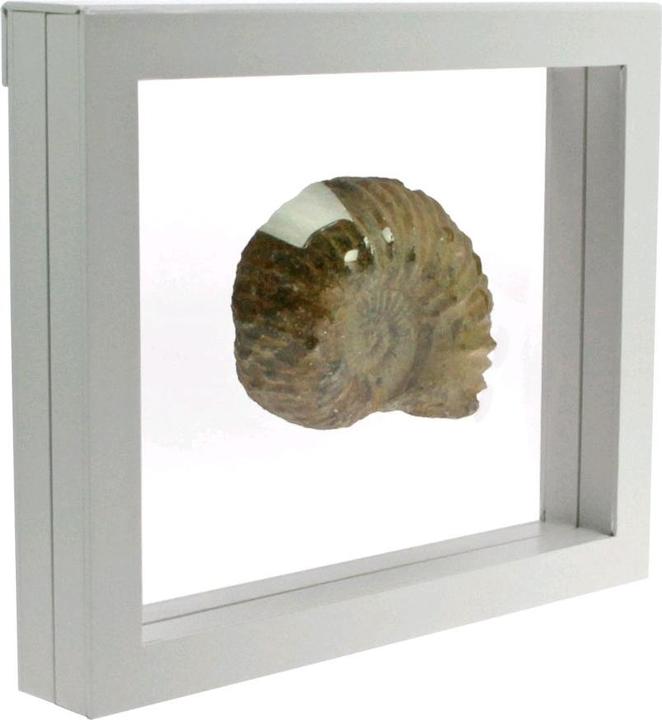 Immagine prodotto Schwäbische Albumfabrik Cornice galleggiante bianca 27 x 22,5 cm
