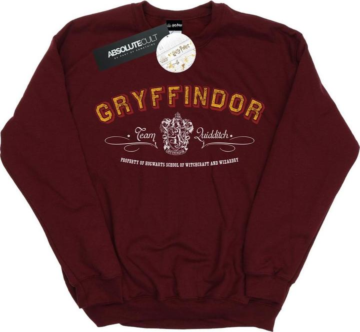 Actual product image Womens/Ladies Gryffindor Team Quidditch Sweatshirt (XL)