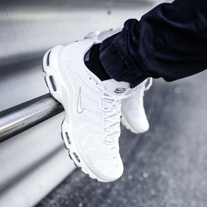 Actual product image Nike Air Max Plus (44.5)