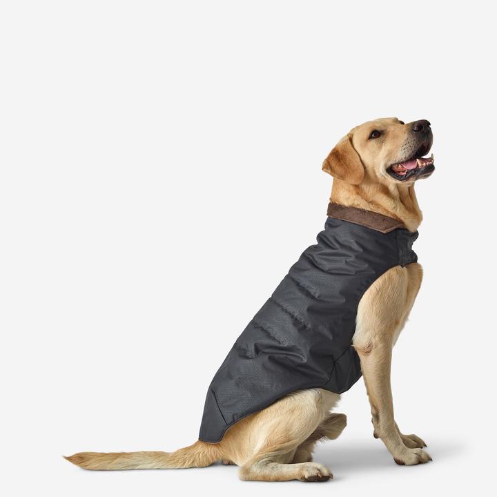 Produktbild Solognac Hundeweste warm grau (S, Hundeweste)