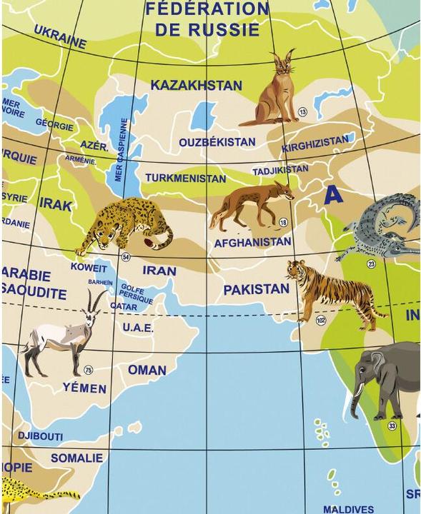 Image du produit Caly Planete Animaux (x2) (42 cm)