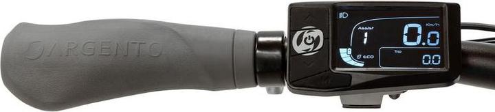 Actual product image Argento E-bike