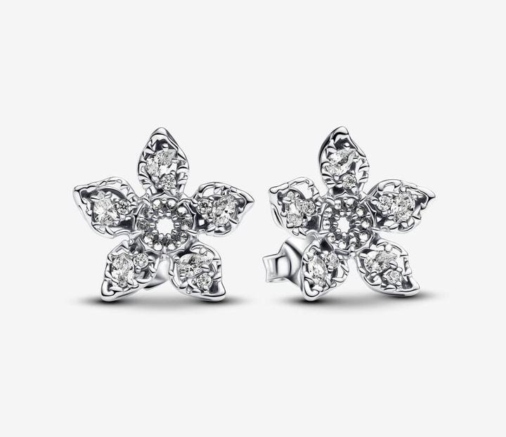 Actual product image Pandora Earrings (Sterling silver)