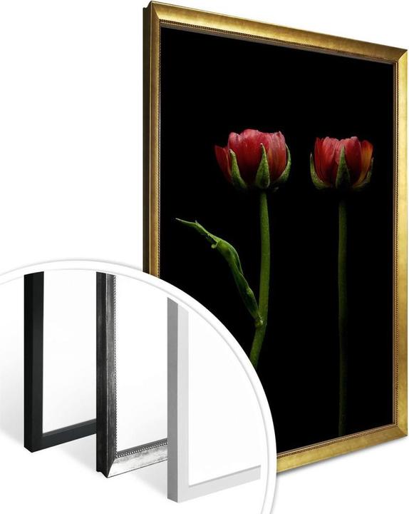 Immagine prodotto Trenddeko Due ranuncoli rossi (24 x 30 cm)