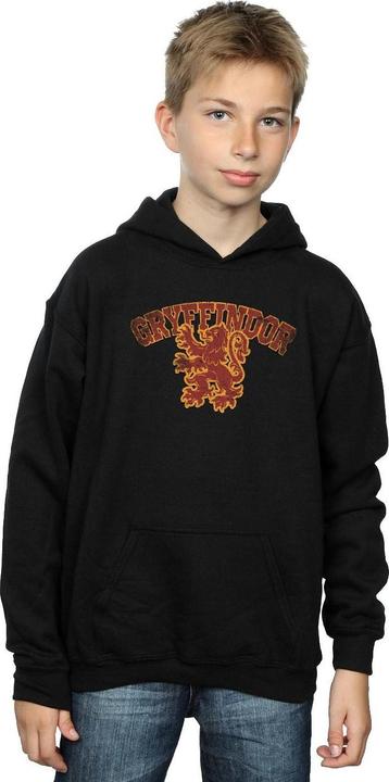 Immagine prodotto Gryffindor Sport Emblem Felpa con Cappuccio Ragazzi (116)