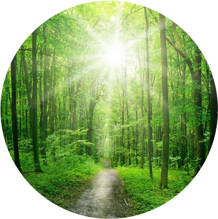 Actual product image Trenddeko Sunny Forest (Ø 50 cm)