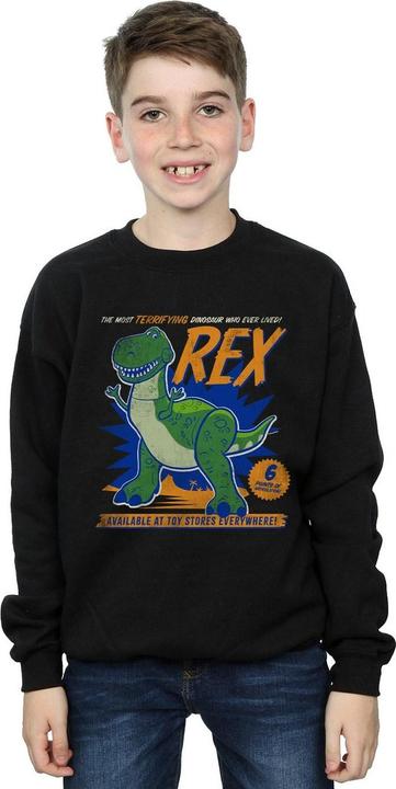 Actual product image Disney Boys Toy Story 4 Rex Terrifying Dinosaur Sweatshirt (140, 146)