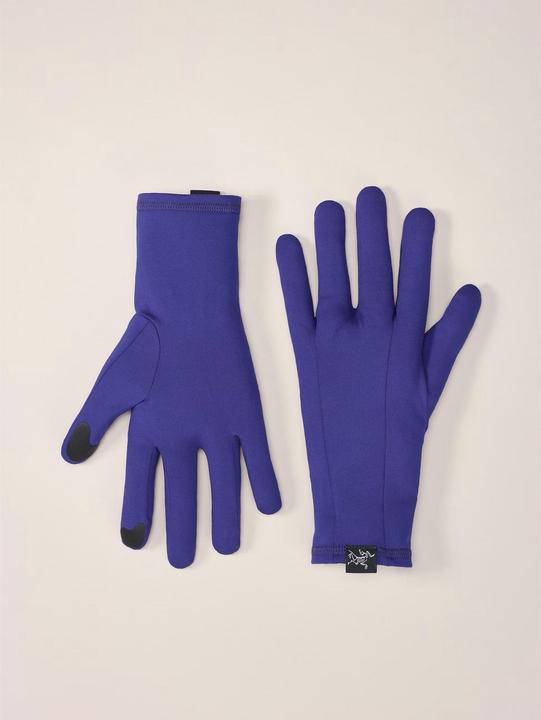 Image du produit Arc'teryx Rho (L)