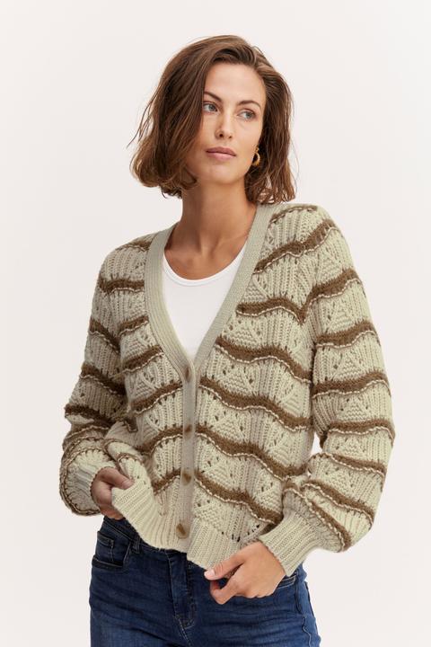 Immagine prodotto Fransa FRAYA CAR 1 - 20611173 (XXL)