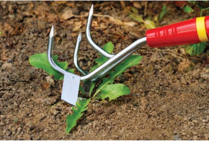 Image du produit Wolf-Garten Désherbeur 7 cm Combisystem M