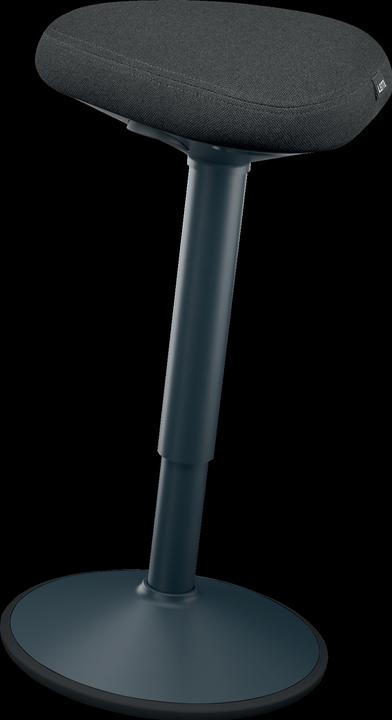 Actual product image Leitz Ergo Active